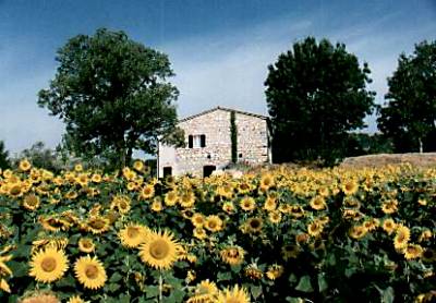 il casale San Leonardo visto dalle Terme di Saturnia in Toscana