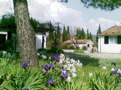 Vignagrande at 1,5 km from Saturnia and the spa